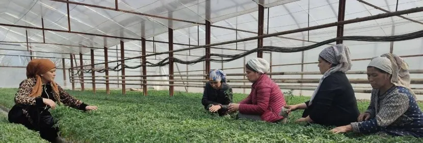 Форма обратной связи